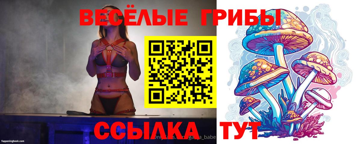 Псилоцибиновые грибы GOLDEN TEACHER Канаш