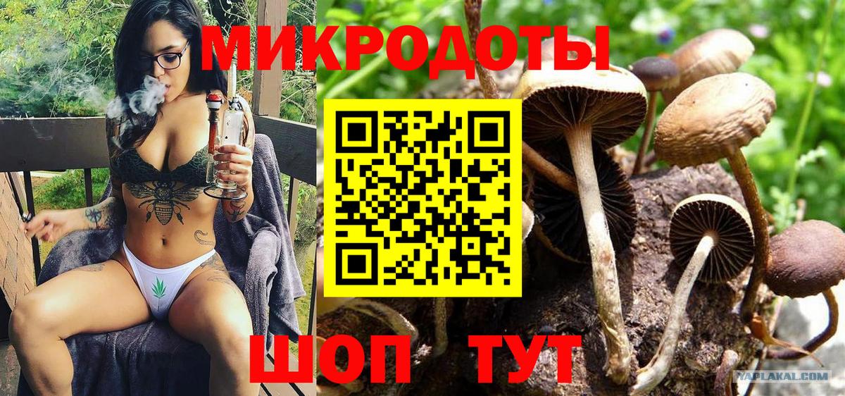 Галлюциногенные грибы Cubensis  Вход с VPN  магазин продажи наркотиков  Галлюциногенные грибы прущие грибы  Канаш 