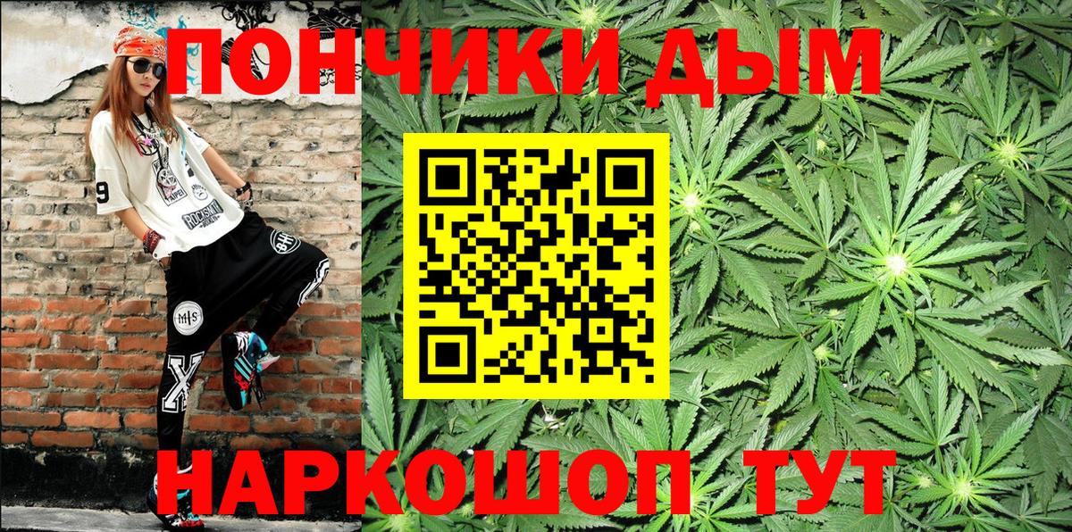 Бошки марихуана семена  Бошки марихуана тримм  Вход с VPN  Канаш  Бошки марихуана планчик 